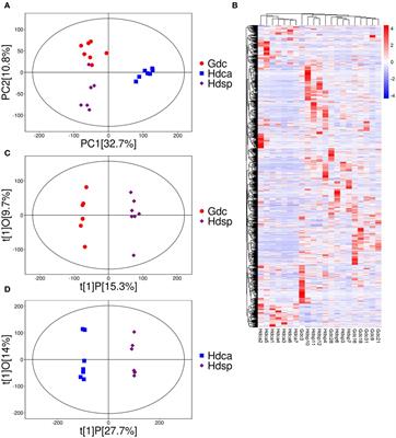 Metabolomics and quantitative analysis to determine differences in the geographical origins and species of Chinese dragon’s blood